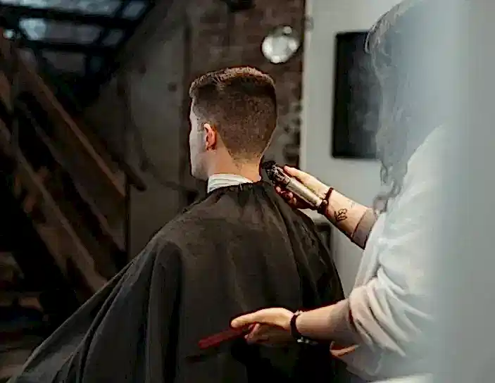 Hudson Hawk haircut